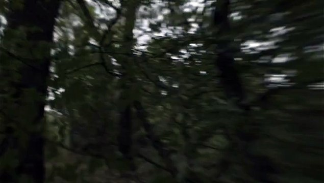 Armée de Terre - recrutement militaire - février 2010 - Devenez vous-même , Patrouille