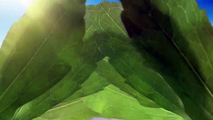 Business pour Truvia - édulcorant, "Les baigneuses, Truvia très bien" - mars 2014