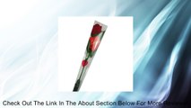Red Rose Message Recording Recorder Roses Novelty Rose Talking Flowers; Gift for Valentine's Day and Mother Day Review