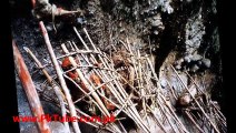 Cannibalism Tribe Found With Lots Of Skeletons