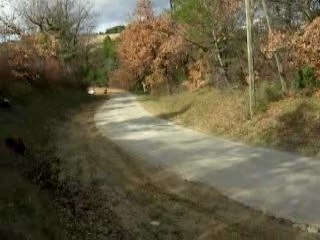 RALLYE DE VAISON 2007 AUTRAN