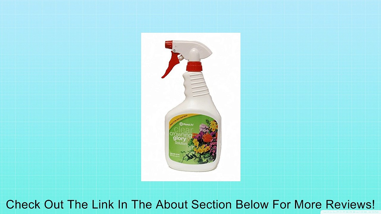 Crowning Glory Flower Spray 32 Fl. Oz Review