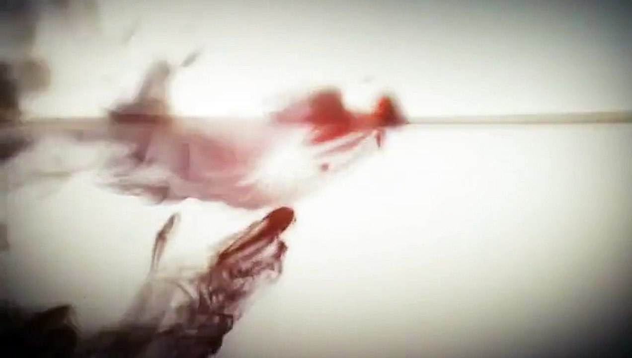 CCTV (Central China Television) - chaîne de télévision chinoise - octobre 2009 - "Ink"