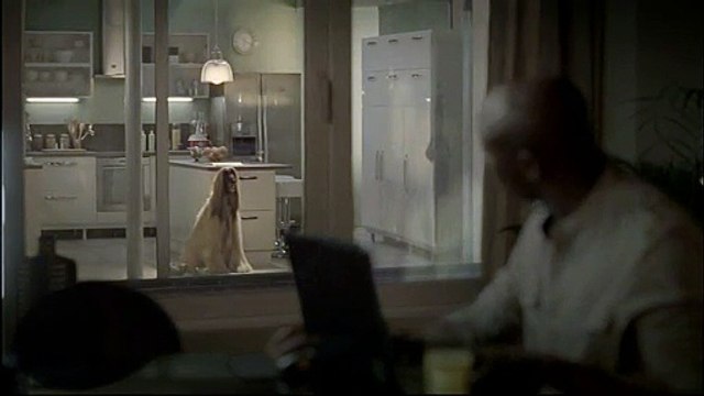 Conforama - mobilier - octobre 2009 - Mes chers voisins , cuisine