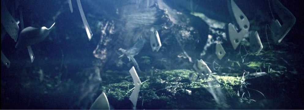 ASICS - chaussures de sport - février 2010 - Running Expansions