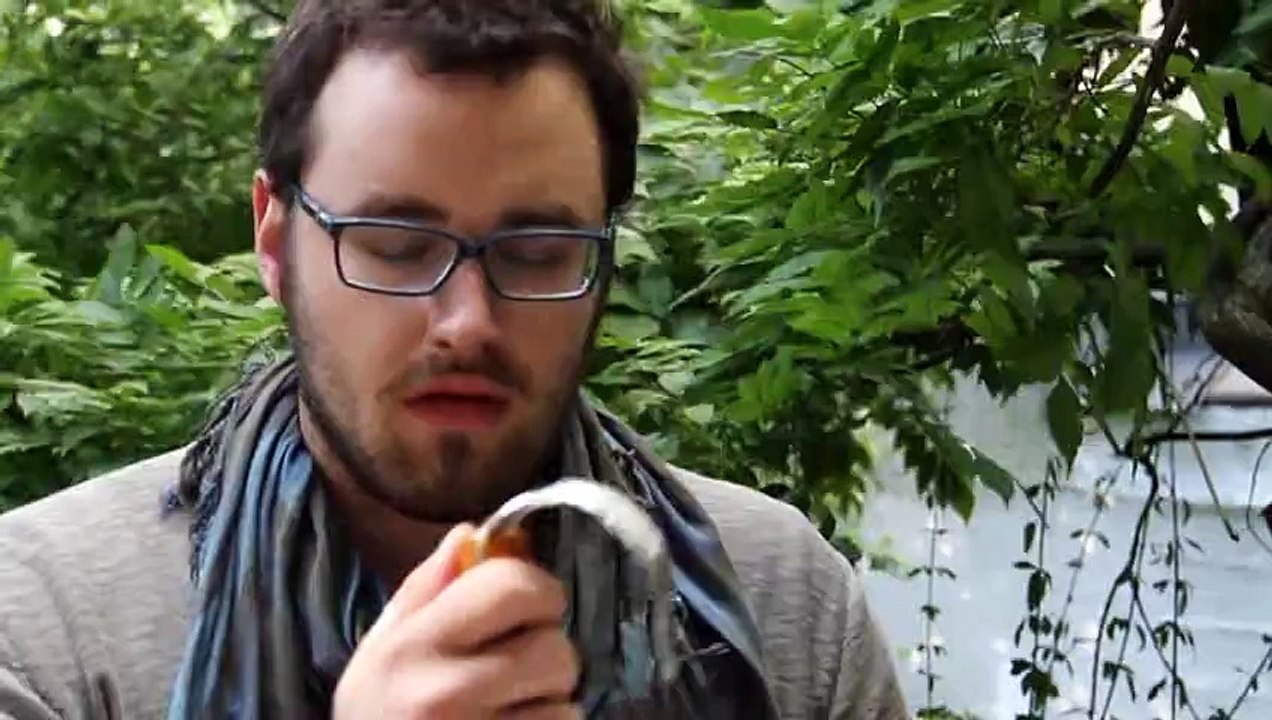 Bayer HealthCare Pharmaceuticals - laboratoire pharmaceutique, "Dysfonction érectile" - octobre 2011 - 2ème prix, "Un coup de mou"