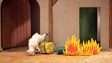 Aujourd'hui en France - journal - février 2011 - "ça fait du bien un canard indépendant !", le paon