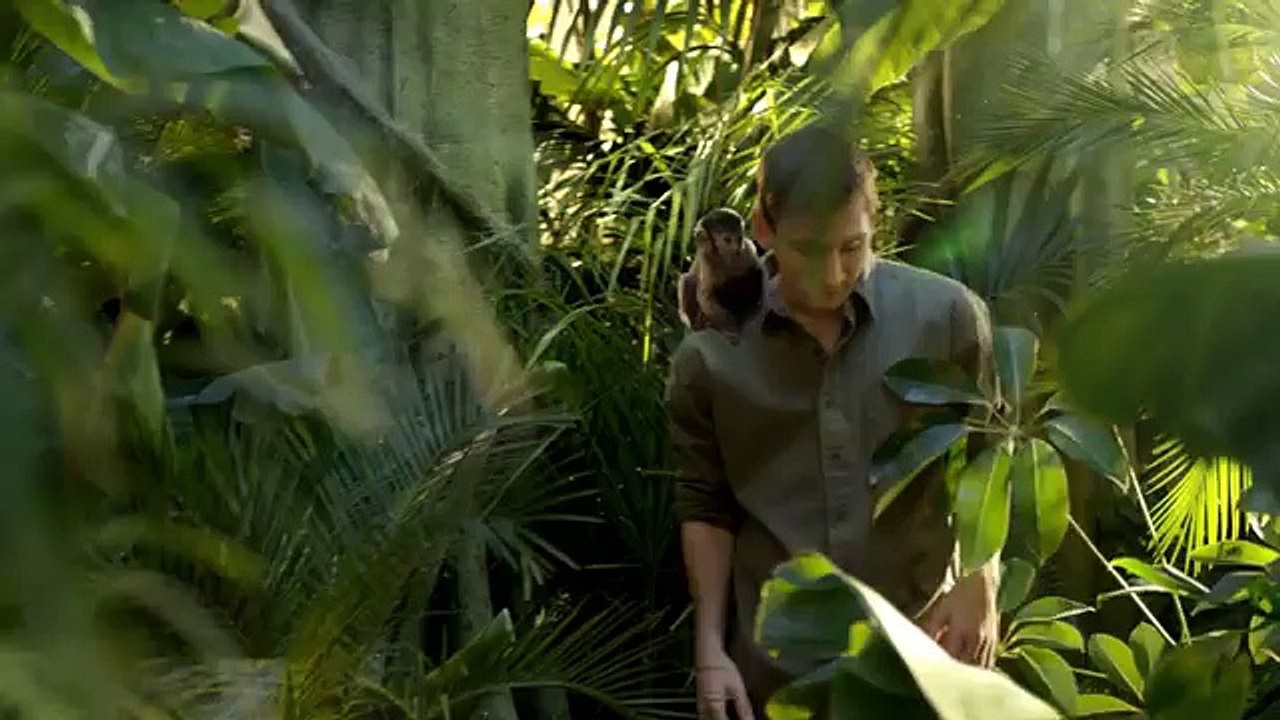 Crispin Porter & Bogusky pour Turkish Airlines - compagnie aérienne, "Selfies, avec Lionel Messi et Kobe Bryant" - décembre 2013