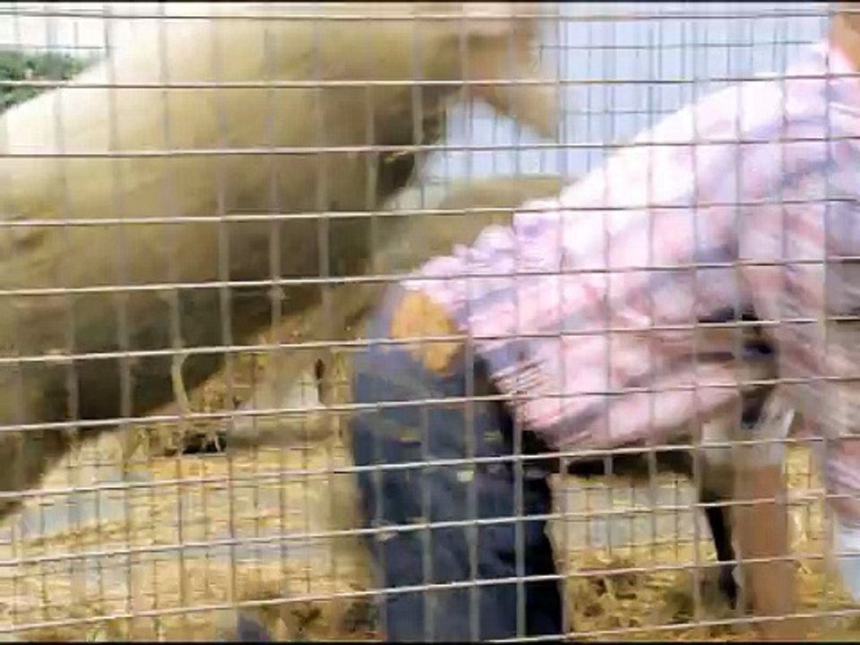 Canal + - chaîne de télévision, "Platane, avec Eric Judor" - août 2011 - version courte