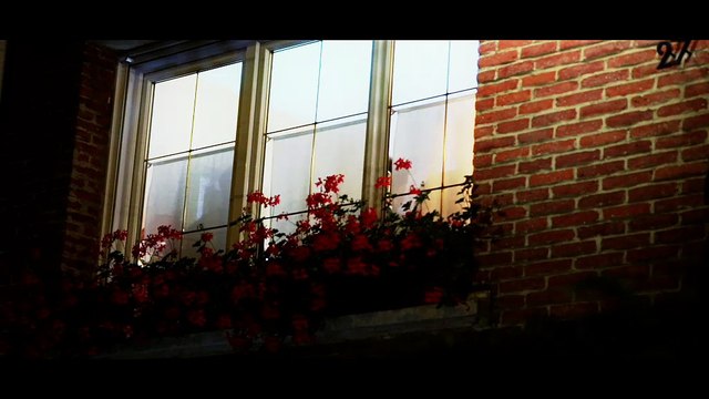 Claudine Colin Communication pour la ville d'Arras - collectivité locale, «Exposition Versailles à Arras» - septembre 2014 - «Fête»