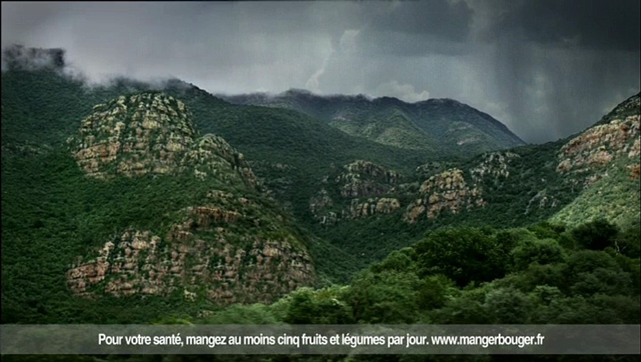 Côte d'or (Kraft Foods Europe) - chocolat - février 2011 - "Afrodisiaque, Le vrai pouvoir du chocolat"