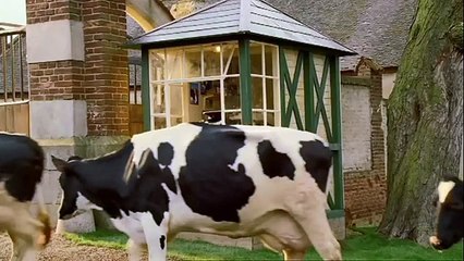 Anchor Butter - beurre - mai 2010 - "Made by cows", "Paradise City"