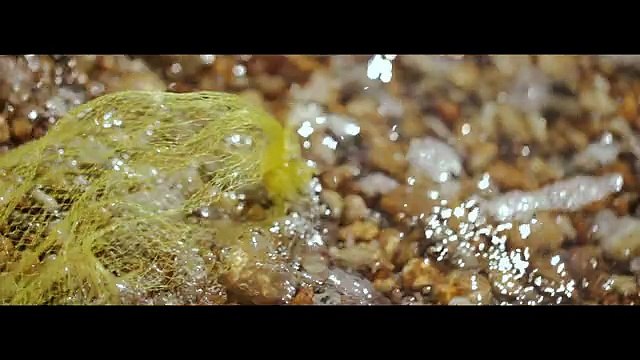 Biotherm - produits de soins, Water Lilies - janvier 2013