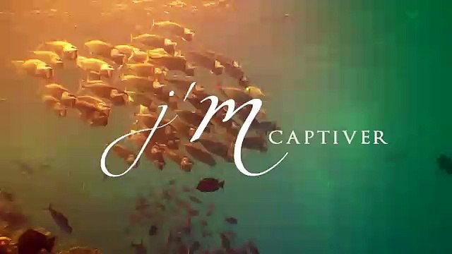 Comité Martiniquais du Tourisme - tourisme en Martinique, J'Martinique - décembre 2012 - culture