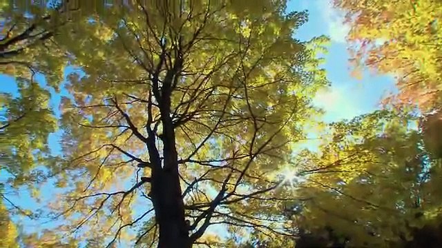 Benetton - vêtements et accessoires - février 2011 - Green attitude , cintres en bois liquide