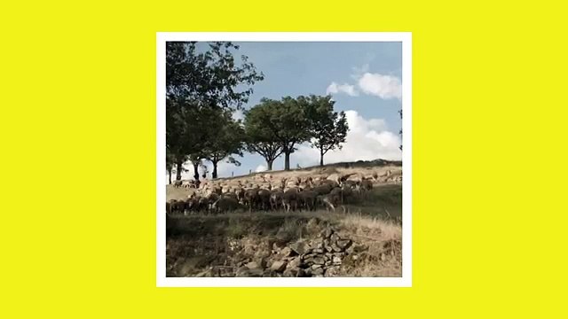 Australie pour Vrai - produits laitiers bio, «Goûtez au Vrai, vrai.fr» - octobre 2014