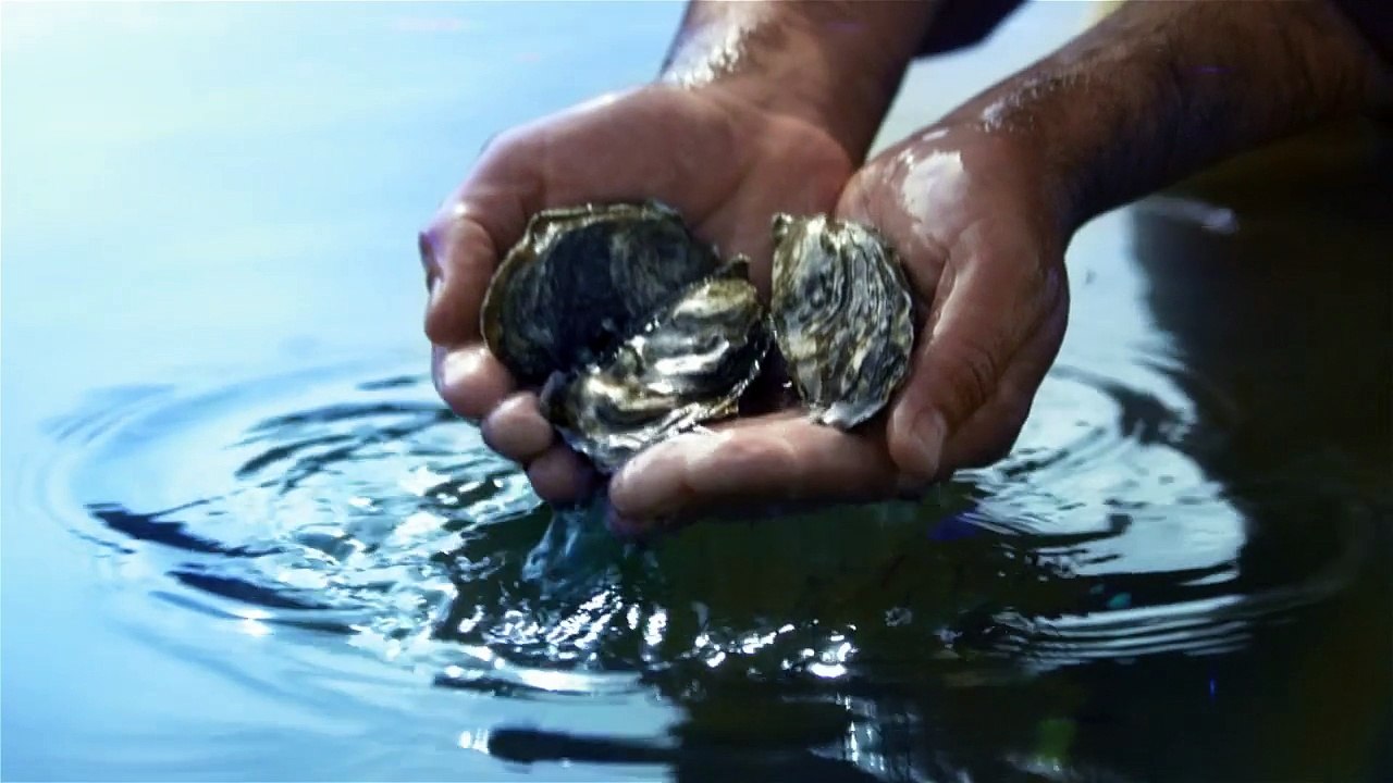 Comité National de la Conchyliculture - huîtres, "Les huîtres naturellement inimitables" - octobre 2012