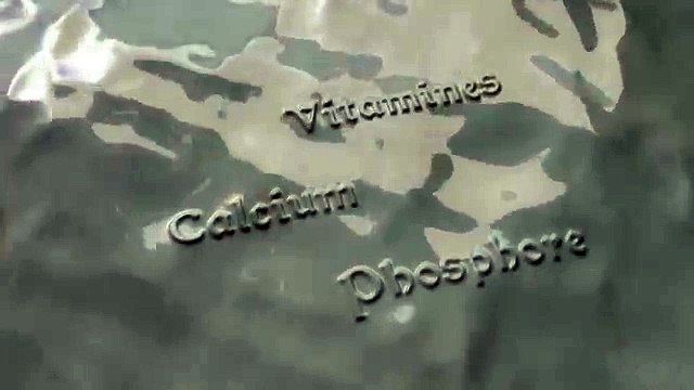 CNIEL - produits laitiers, Le lait, une force de la nature - mai 2013