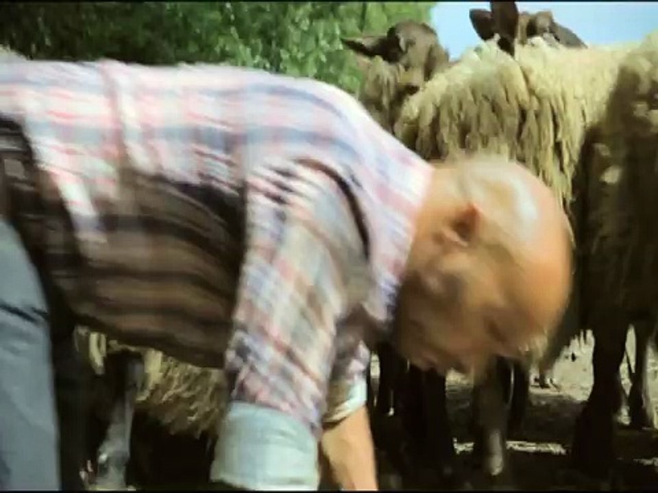 Canal + - chaîne de télévision, "Platane, avec Eric Judor" - août 2011 - kit