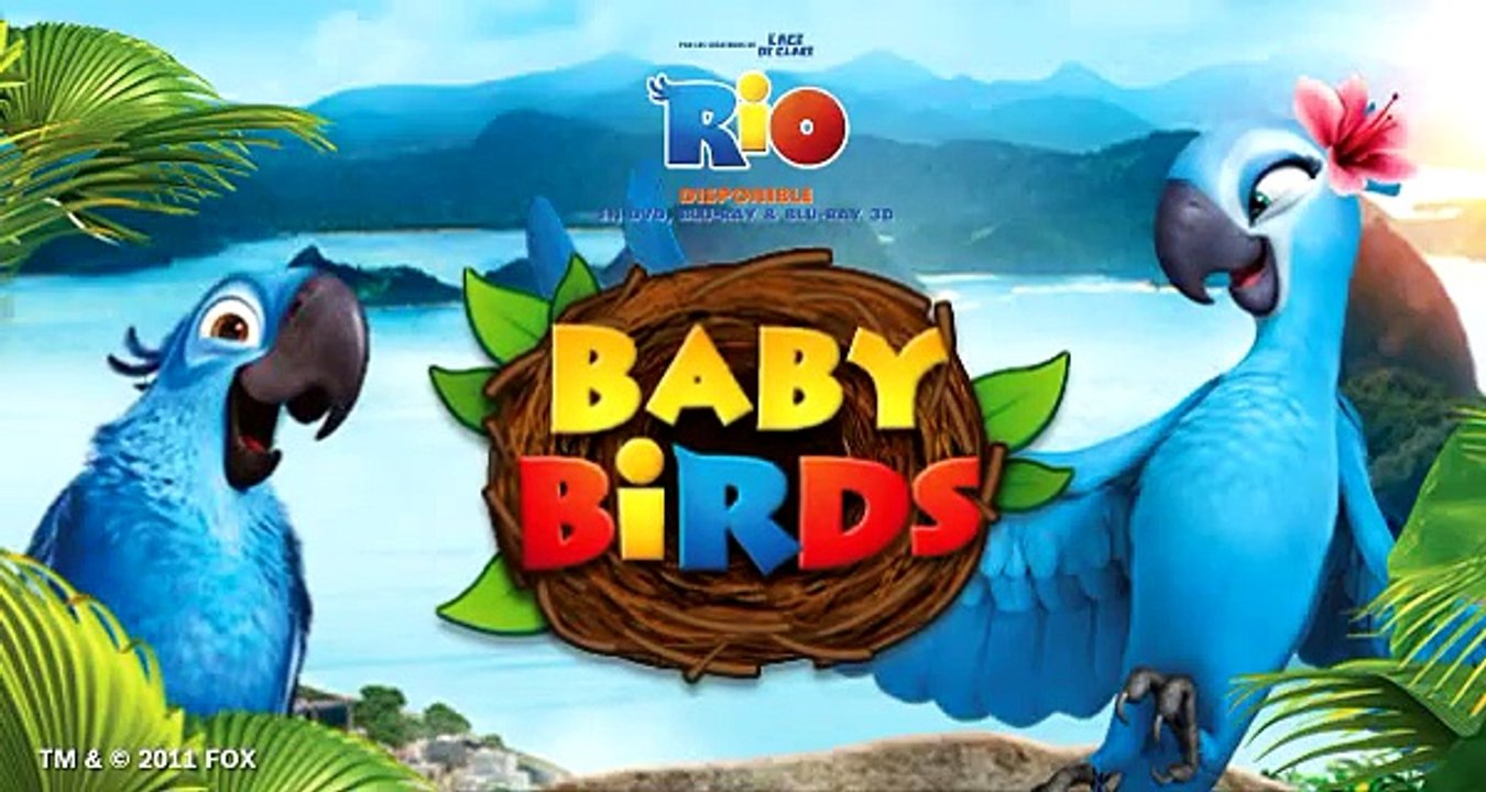 Bosch Electroménager - électroménagers, "Baby Birds, www.facebook.com/BoschHomeFrance" - octobre 2011 - Jeu Bosch Rio Baby Birds