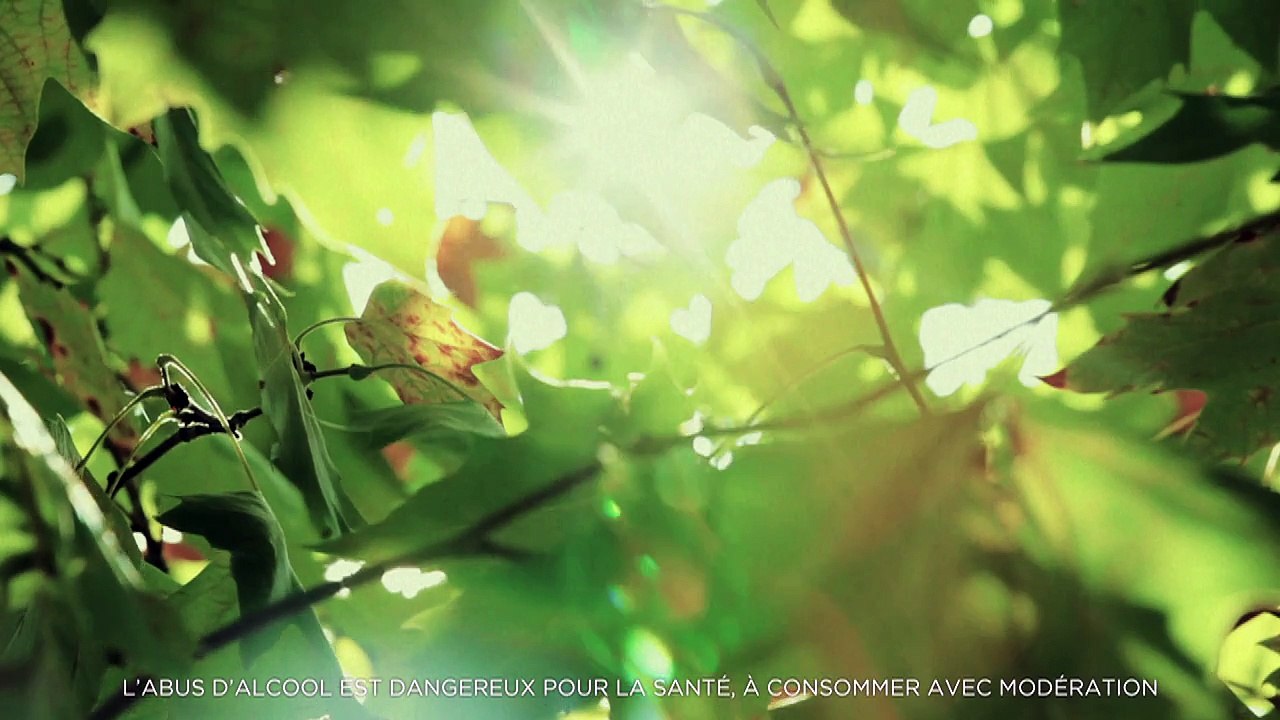 Conseil Interprofessionnel du Vin de Bordeaux (CIVB) - vins de Bordeaux, "Bordeaux, des vins, un style" - octobre 2011 - teaser français