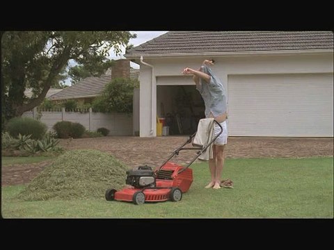 Cetelem (BNP Paribas Personal Finance) - crédits - mars 2010 - Il ne suffit pas de ressembler à Cetelem pour faire du Cetelem , Pelouse