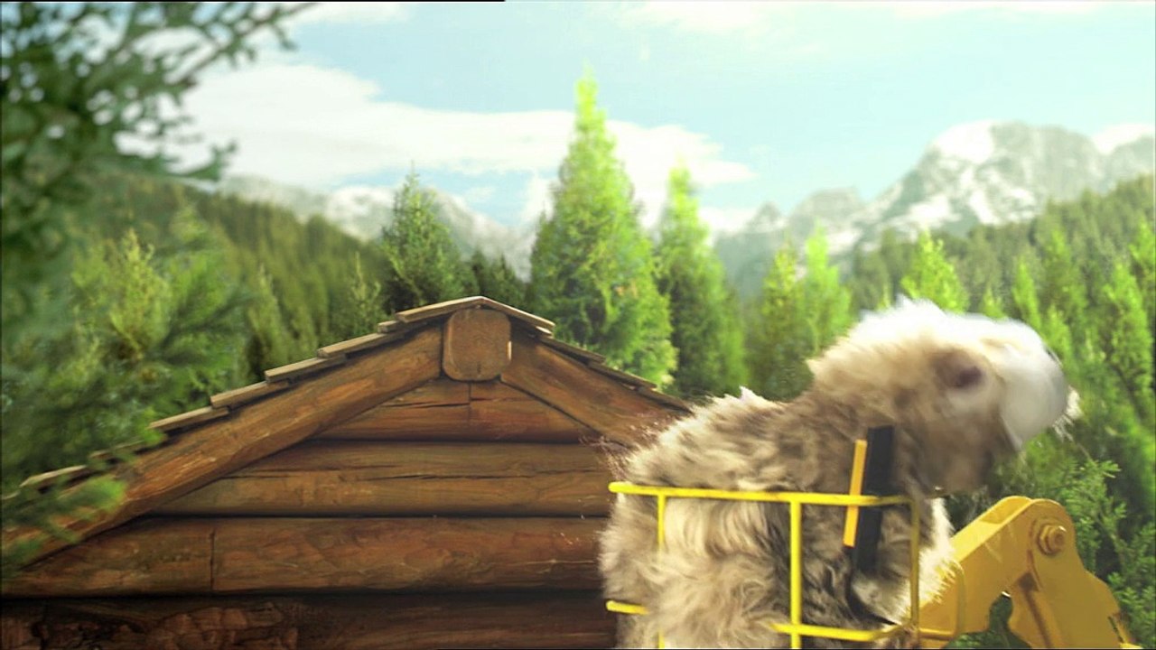 Bouygues Telecom - opérateur téléphonique, "Les Chatons Telecom" - août 2011