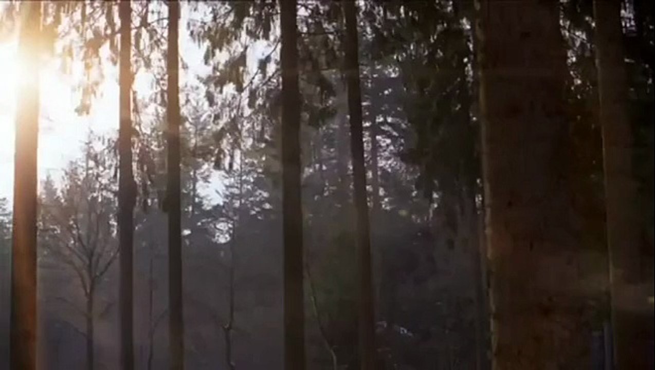 Daimler - voiture Mercedes Benz W212 E-clas - mai 2010 - "Sorry"