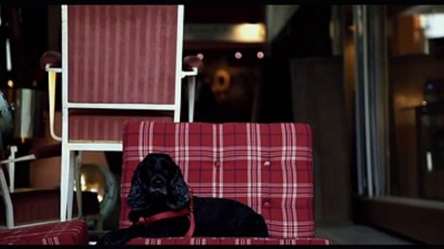 Comité Régional du Tourisme Paris Ile-de-France - tourisme - novembre 2009 - Kisses from Paris