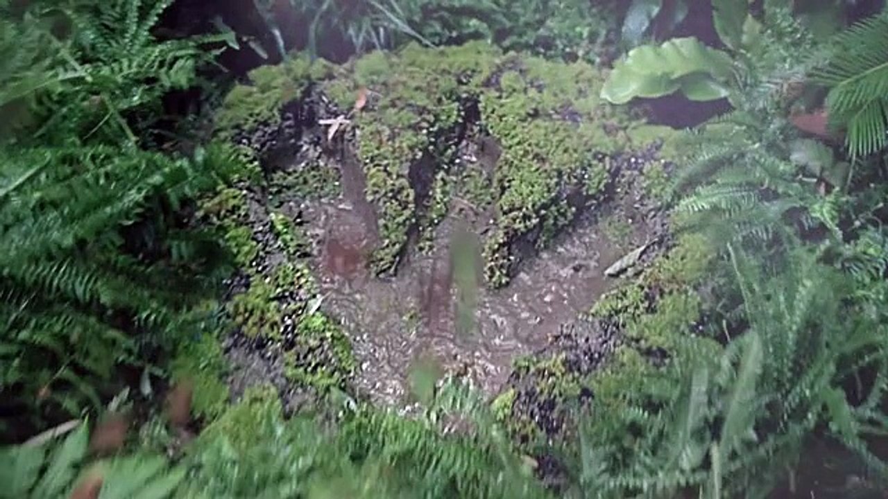 Audi - voiture Audi R8 - janvier 2011 - "Footsteps"