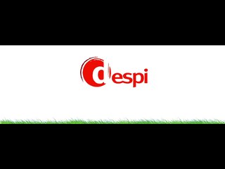 Altavia Pallas pour Despinasse - boucherie, "Despi, la viande à l'état pur" - juin 2013