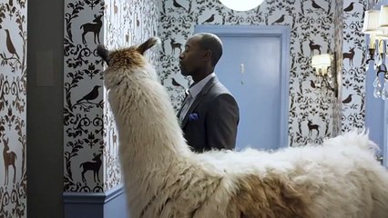 BBDO New York pour Bud Light - bière, "The perfect beer for whatever happens" - janvier 2014 - teaser, don cheadle