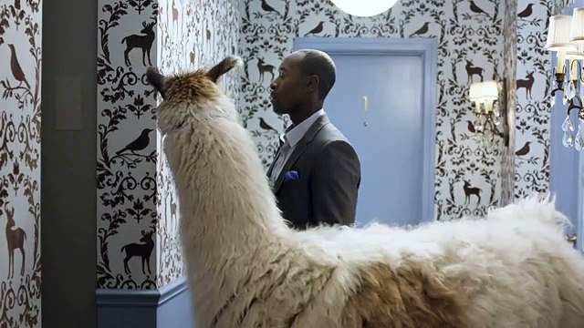 BBDO New York pour Bud Light - bière, The perfect beer for whatever happens - janvier 2014 - teaser, don cheadle