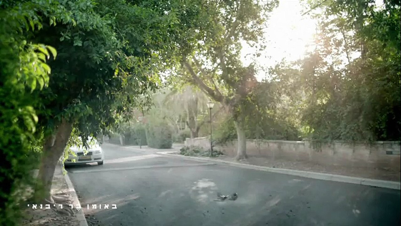 Bituach Yashir - assurance automobile, "Road, Tree, Window" - novembre 2012 - Road