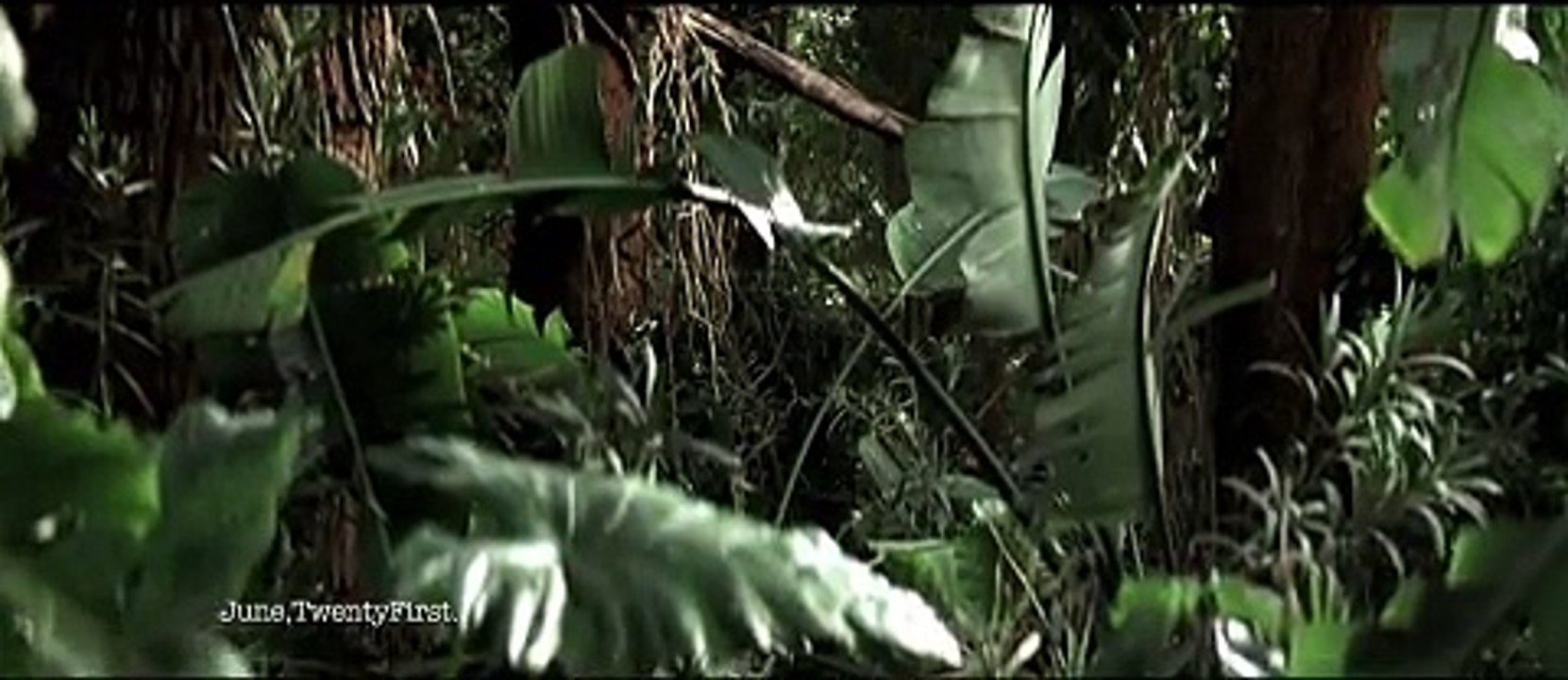 APEC (Agence pour l'emploi des cadres) - emploi - octobre 2009 - "Le meilleur choix avant d'en faire un", la jungle