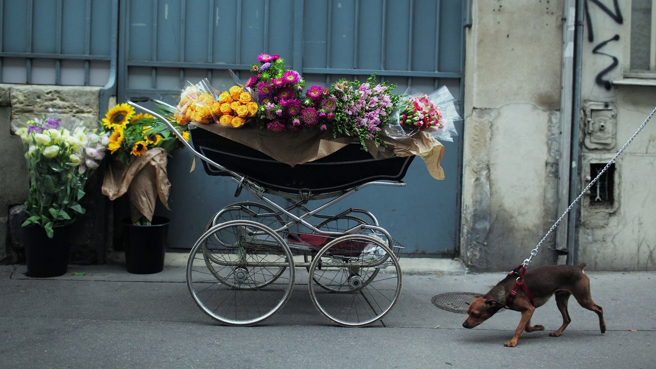 Abbott Mead Vickers BBDO (AMV BBDO) pour Eurostar - compagnie ferroviaire, "Maybe" - octobre 2013 - Paris en anglais