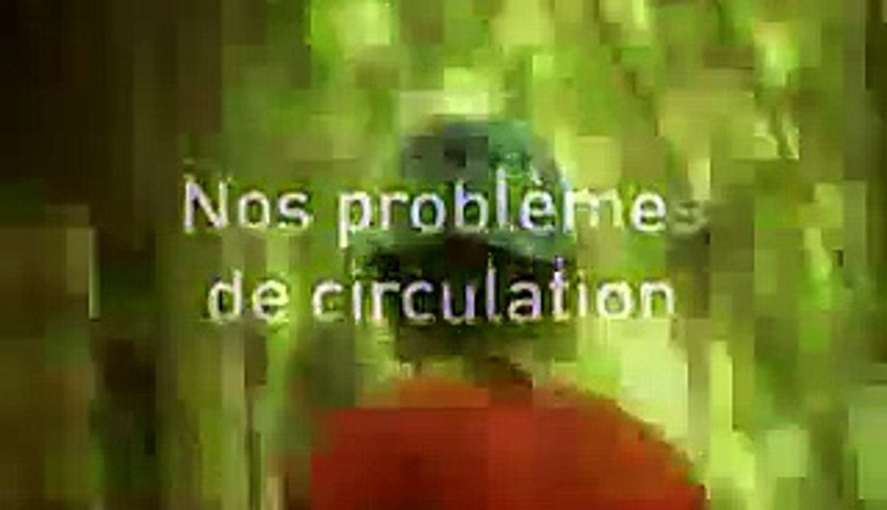 Center Parcs - séjours - janvier 2009 - "Rapprochons-nous", Nos problèmes de circulation