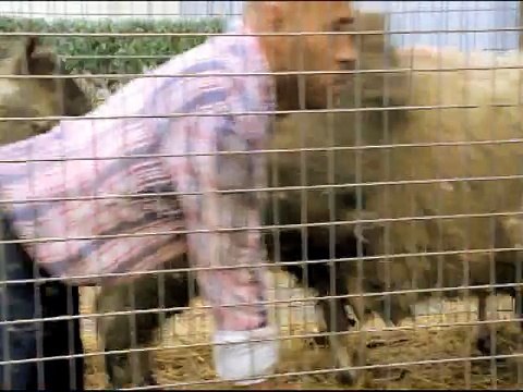 Canal + - chaîne de télévision, Platane, avec Eric Judor - août 2011 - voisins voisines