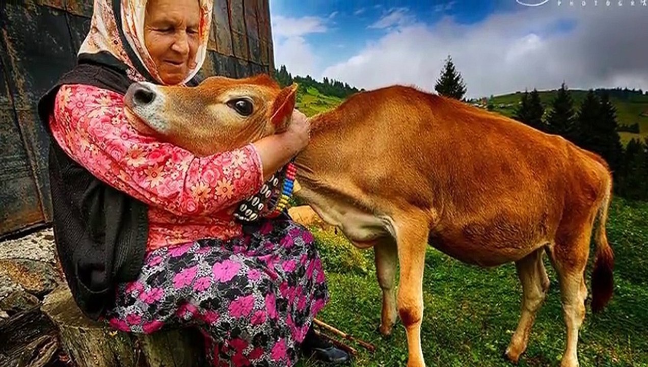 NESLİHAN BALTACI  GAYRI DAYANAMAM BEN BU HASRETE..MİNİK IŞILAY ANNE ŞİİRİ