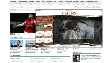 Disney - film Félins, "Safari photo sur msn.fr" - janvier 2012