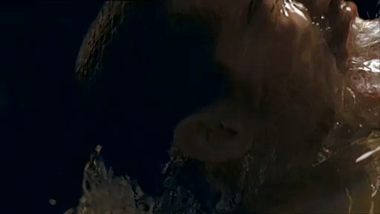 Diesel - parfum Only the Brave - avril 2009 - "Daniel"