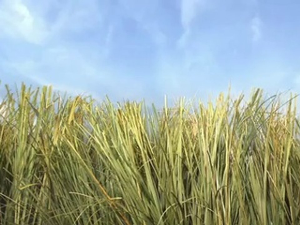 Envy (Groupe Marie-Claire) - magazine féminin - février 2010 - "Mais que cherchent les femmes ?", 20s