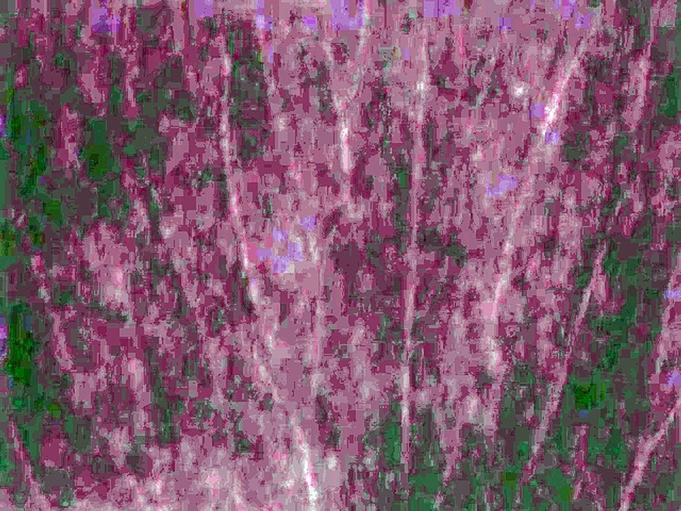 FNSEA - métiers de l'agriculture - février 2009 - "L'agriculture, des métiers à la mode", pétale