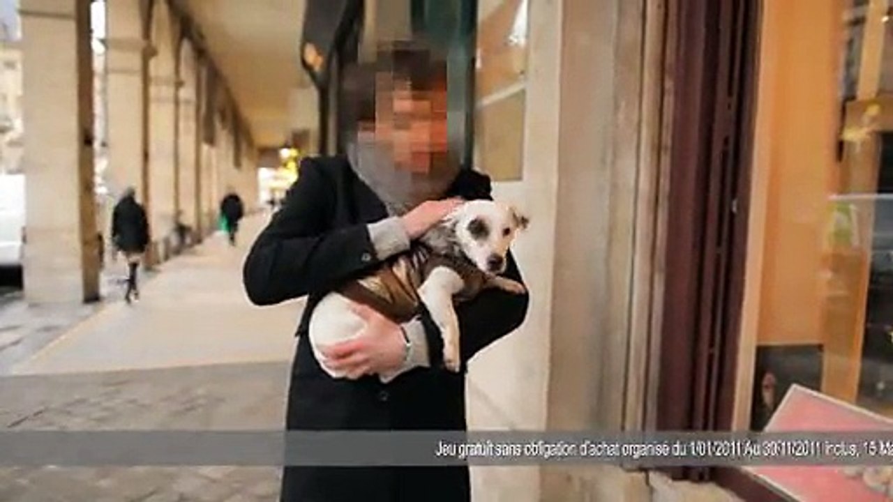 Friskies - nourriture pour chiens et chats - janvier 2011 - "Maxi Croquette", Coco le Jack Russel