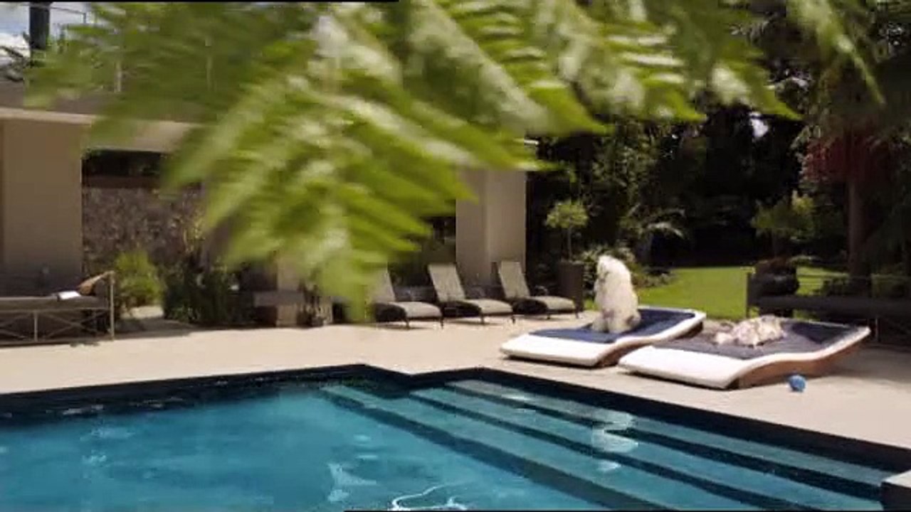 Frolic (Mars Petfood) - croquettes pour chiens - avril 2010 - "Elle est avec lui, pour ses croquettes.", piscine