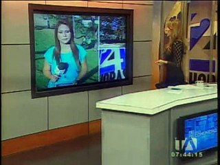 Realizan tala de árboles muertos en Quito para proteger a la población