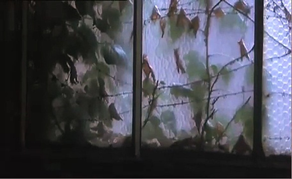 IBM - informatique - février 2009 - Energy & Efficiency, "Fully Armed" (Multi-fonctions)