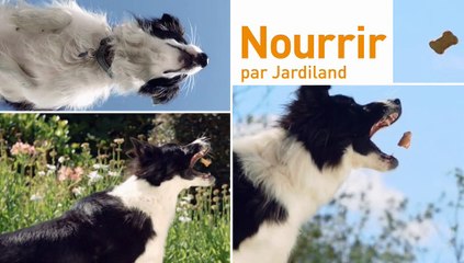 Jardiland - produits de jardinage, "Création et Récréation" - mars 2013 - nourrir