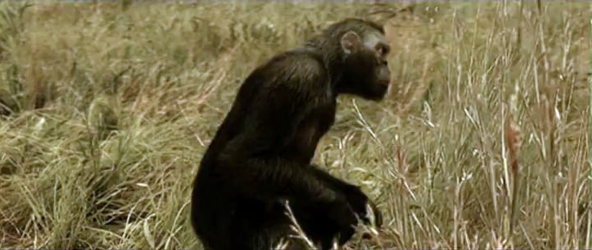 INPES - prévention du tabagisme actif - juin 2009 - Un fumeur a 1 chance sur 2 de mourir du tabac. , La Chance