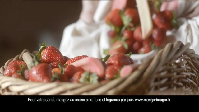 La Laitière (Nestlé Glaces) - glaces La Laitière, Corbeille de Fruits, Le pique-nique - mai 2011 - sorbet fraise rhubarbe